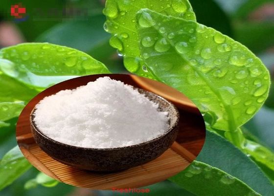 Decay Resistance Health Food Ingredient Powdered Erythritol Sweetener