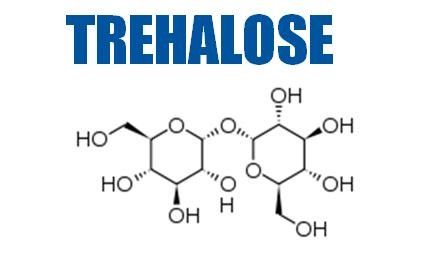 Trehalose Dihydrate Sweetener Crystalline Powder USP Grade 6138-23-4
