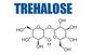 Trehalose Dihydrate Sweetener Crystalline Powder USP Grade 6138-23-4
